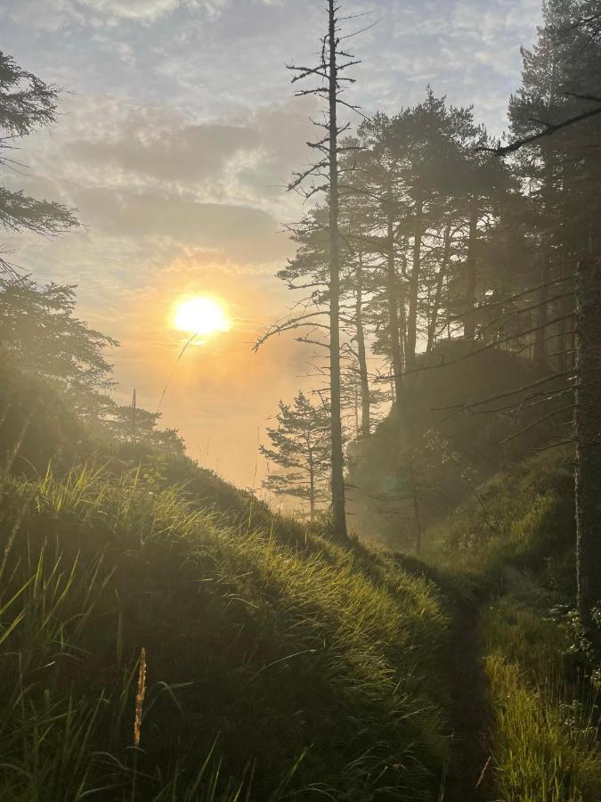 Berghaus Gesaeuse Pension Weng im Gesause ภายนอก รูปภาพ